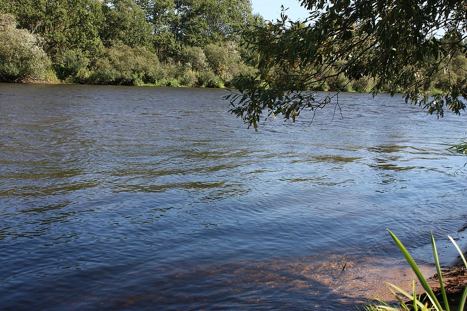 охота и рыбалка Беларусь